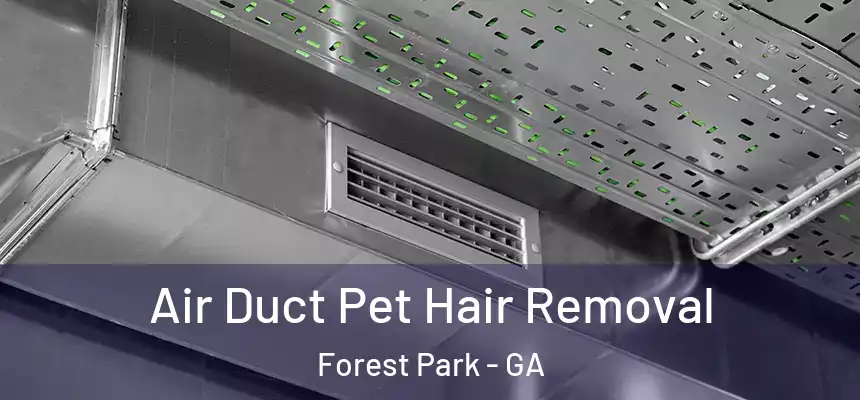 Air Duct Pet Hair Removal Forest Park - GA