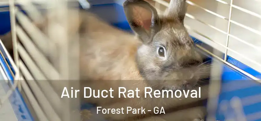  Air Duct Rat Removal Forest Park - GA