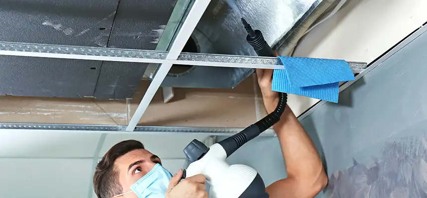 Our Air Duct Rodent Removal Services in Forest Park, GA