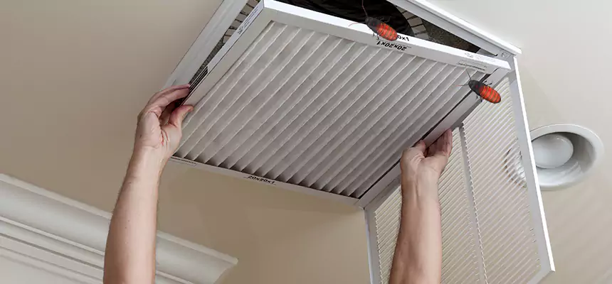 Our Insect Removal from Air Ducts Services in Forest Park, GA