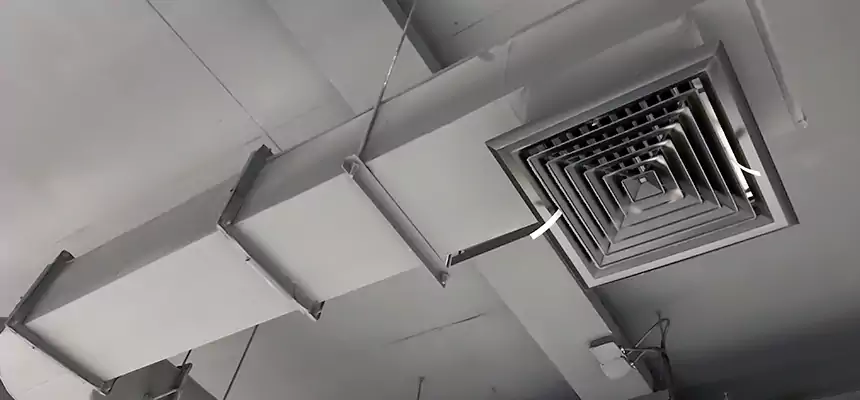 Our Pest Removal From Ducts Services in Forest Park, GA