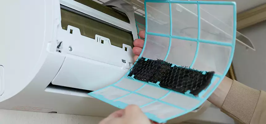 Gentle Ductwork Odor-Control Pet Dander Duct Cleaning in Forest Park, GA