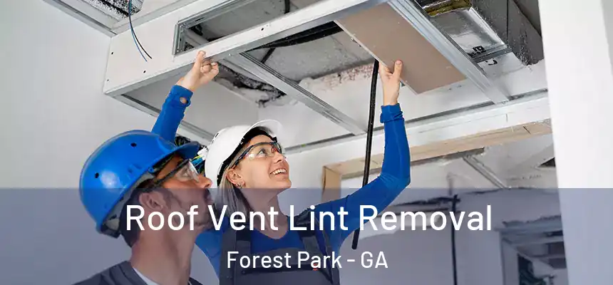  Roof Vent Lint Removal Forest Park - GA