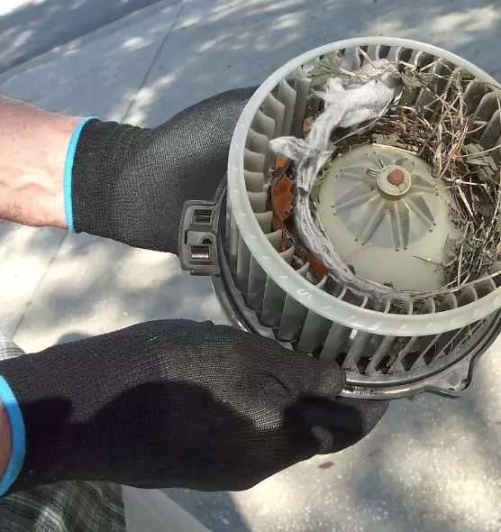 About Air Duct Mice Removal in Forest Park, GA