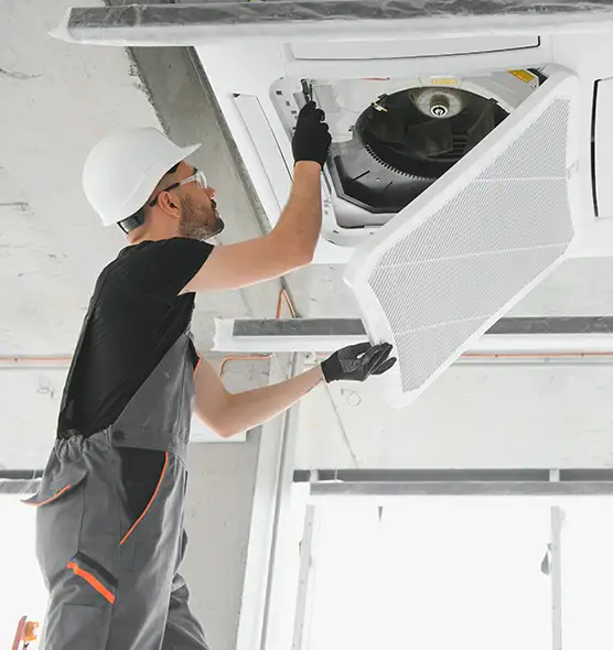 About Air Duct Rodent Removal in Forest Park, GA