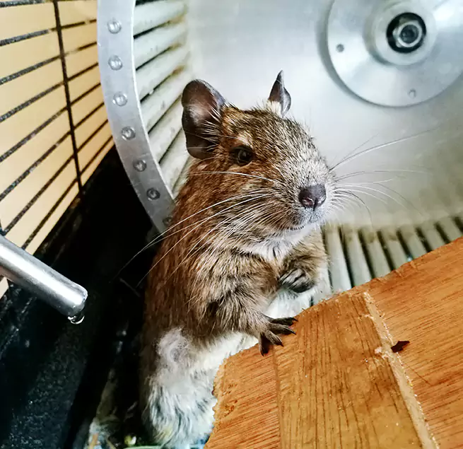 Why Homeowners & Businesses Trust Us Forest Park, GA?