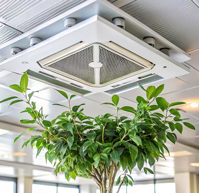 Why Homeowners & Businesses Trust Us in Forest Park, GA?